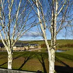 Pine - Uk30007 * Lindal in Furness