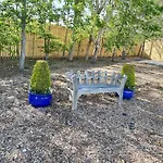 Pine - Uk30007 *