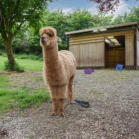 Holiday home Pine - Uk30007 Lindal in Furness