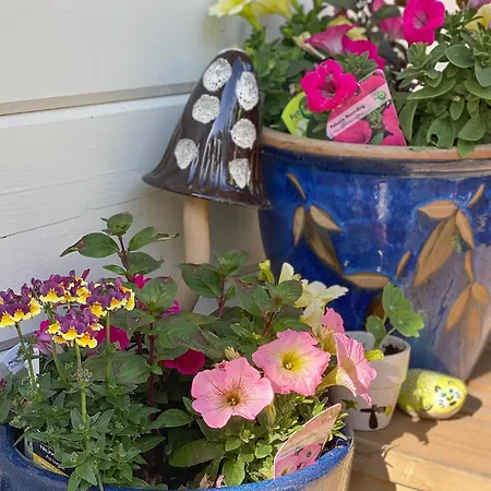 Pine - Uk30007 Prázdninový dům Lindal in Furness