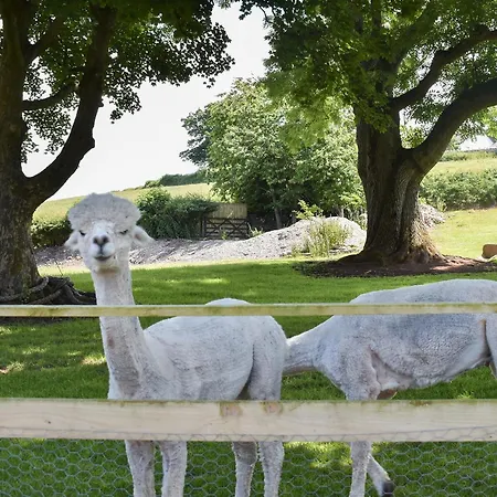 Feriehus Pine - Uk30007 Lindal in Furness