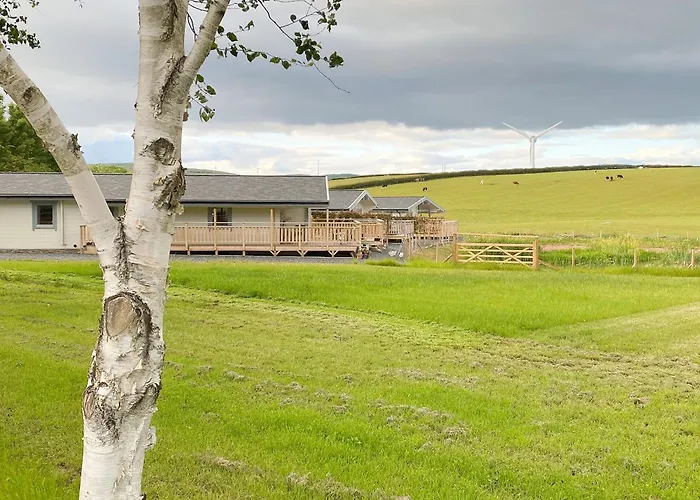 Pine - Uk30007 Feriehus