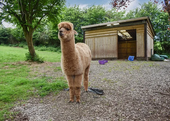 Feriehus Pine - Uk30007 Lindal in Furness