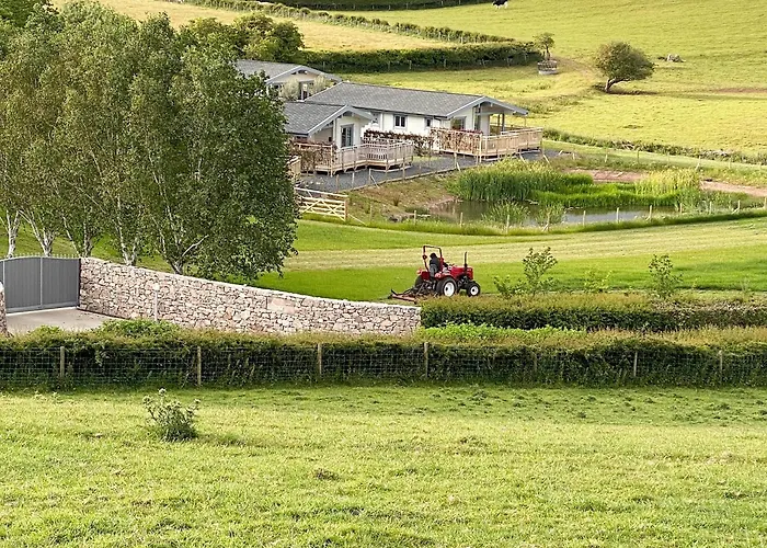 Pine - Uk30007 Feriehus Lindal in Furness