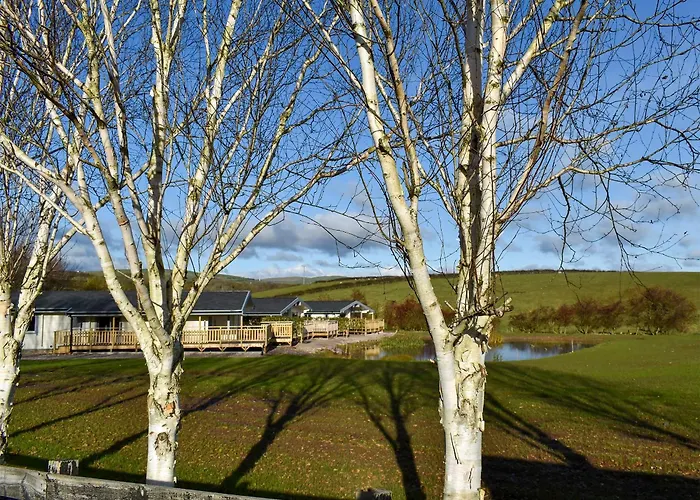 Pine - Uk30007 * Lindal in Furness