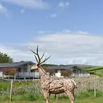 Pine - Uk30007